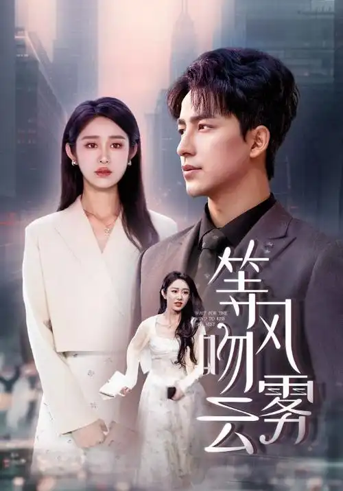 回南天记事 家庭剧手机在线观看